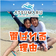 石垣島あつまるが選ばれる理由