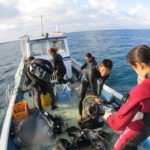 石垣島、オニヒトデ駆除の日☆