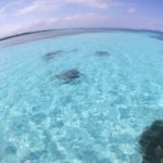 石垣島の海はソーダ水っ☆