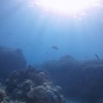 石垣島の海がギネス登録？？☆