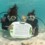 今日も「石垣島」は全開バリバリッ☆