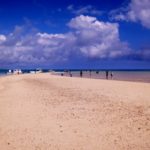 限りなく夏が近くなってきたでー！