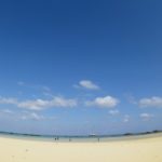 夏！がもどってきたぁ！(๑≧౪≦)