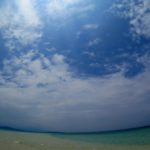 梅雨の中休み！(๑≧౪≦)てへぺろ