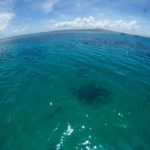 今日は穏やかな海(^O^)