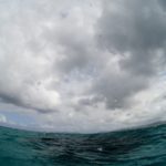 台風いやぁァァァ〜(´Д` )