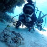 最高の海況で最高の海をご案内！！