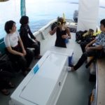 幻の島　２回戦！！！