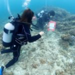 本日はFUNダイビングのご案内でしたー(*ﾟ▽ﾟ*)