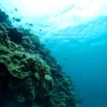 夏至南風～突入しております！