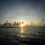 夏、はじめました。