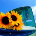 お花屋さん、はじめました