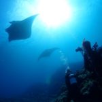 海が好きすぎて。。。♡