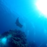 ダイバーさん誕生！！☆彡