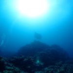 マンタさんのお話。