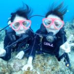 大崎のサンゴに感動しました(  ；∀；)