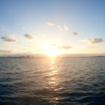 朝から太陽さんだ～( ´ ▽ ` )