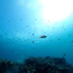 １１月も大変お世話になりました☆彡