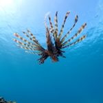 ショップにて１日事務作業～