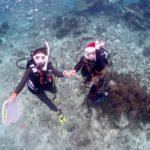 雪の降らないXmasイヴ☆彡