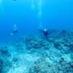 一年の計は元旦にあり☆彡