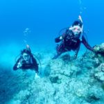 暖かい石垣島が帰ってきたぞー(´∀｀)