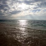 あ～楽しかった(ﾟ∀ﾟ)