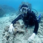 台風並の風が吹き付けてました～