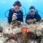 靴下必須アイテム☆彡