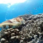 ２月突入しました～(ﾟ∀ﾟ)♫