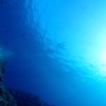 もぉ春なのかー？春よこいっ！！