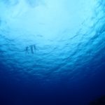 マンタに始まり～幻に終わる♡”