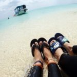 ウミガメは次回の楽しみに♡