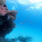 ２日分まとめてアップ～(☆∀☆)