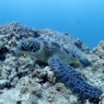 ２日分まとめて～(*´∀｀*)