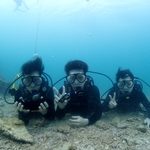 きました～タイフーーン(￣▽￣)