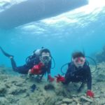 素敵なお誕生日のお手伝い(*´▽｀*)