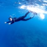 また来年(ﾟ∀ﾟ)