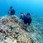 昨日の雷様は怖かった～(ﾟ∀ﾟ)