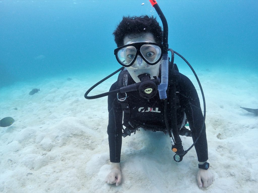 石垣島体験ダイビング・シュノーケル・幻の島上陸ツアー開催【石垣島ダイビングスクールあつまる】