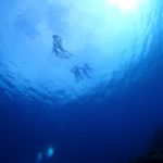 夏みたいな海況だわ～(o^^o)