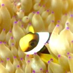 湿度がすごい！