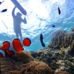 お魚が近いッ！