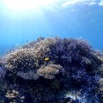名蔵湾へ行くぞ〜💙