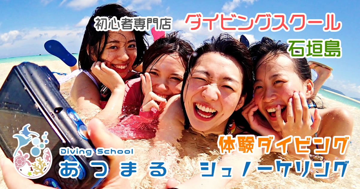 沖縄産ガジュマル　ツインテール　石抱き 鹿児島県／石だきガジュマル