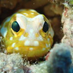 海に感謝する1日♪