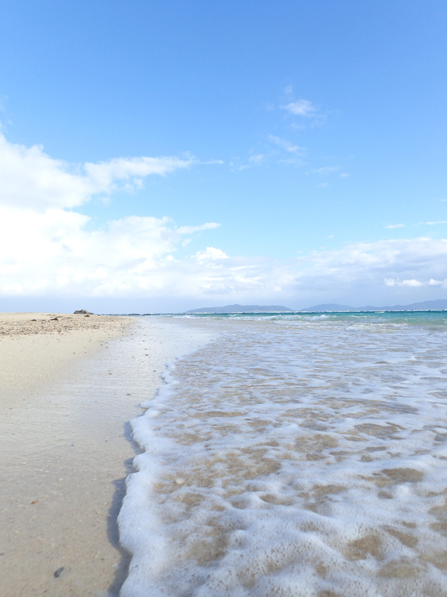 幻の島絶好調！ 【幻の島、ウミガメポイント】へ365日ご案内！初心者専門ダイビングスクールあつまる石垣島