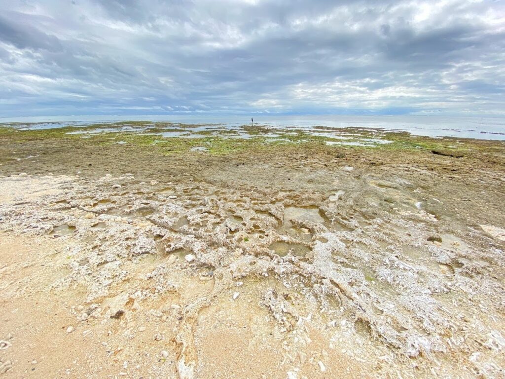 石垣島　海岸　ビーチ