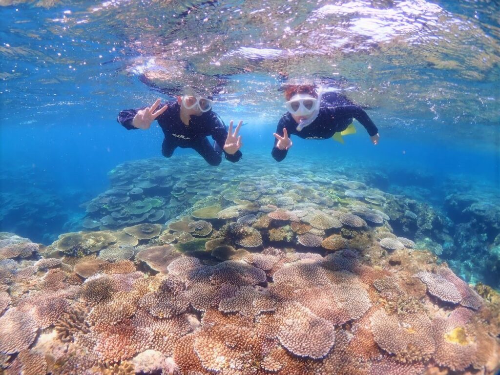 石垣島　サンゴ　シュノーケリング