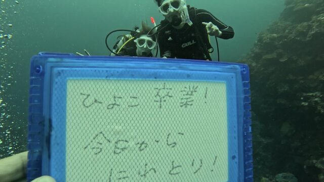 AOWライセンス講習を行いました